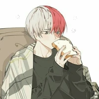 โทโดโรกิ โชโตะ : โชโตะ