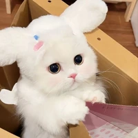มิลิน😾🌷(น.อ)