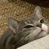 เบล😼💋(เพื่อนน.อ)