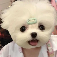 แอดยังไหวไม่ต้องห่วง