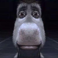 donkey