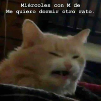 Grupo 