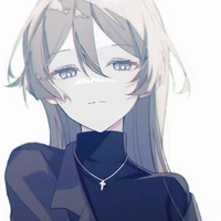 Y/N