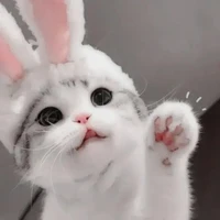 แอดสุดสวย
