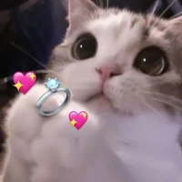 แอดเอง