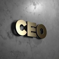 CEO L.M.Corp.