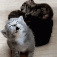 JJG