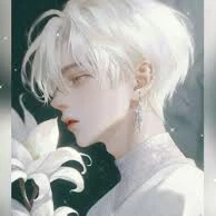 อาทฟีน่า (น.อ)