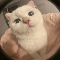 แอดเองง🤍