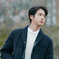 kim Seok Jin