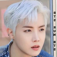 Jung Hoseok(Jisoo