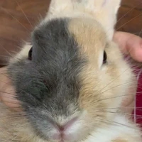 ตัวกระผม