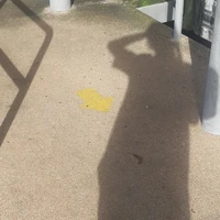 ？？？