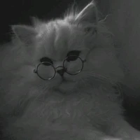 Author..😺😺