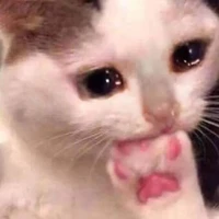 โทโมเอะ แอด(เพื่อนเรียกอีเตี้ย)
