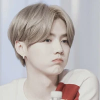 ลู่หาน