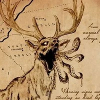 not deer
