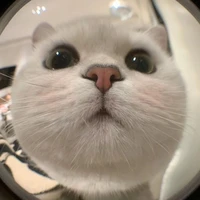 เหมียวเองคั้บ😺