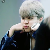 jimin(chimchim)