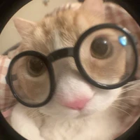 แอดเอ๋อ🤓
