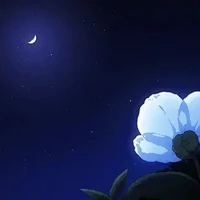 ᵀᴼᴰᴼˢ