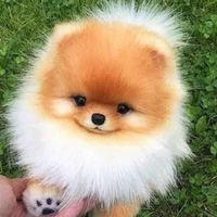 อาคาที่(🐶น.อกับพ.อ)