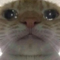 แอดเอง