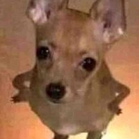 น้ำพริกชอบเขียนตอนดึกๆ