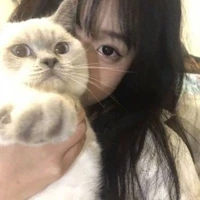 ยี่หวาจะกินแมว🐾