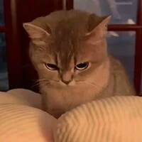 แอ๊ด~~แอดดดด