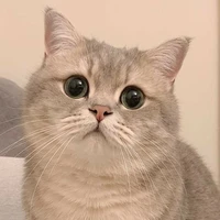 ธาร