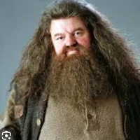 Rubeus Hagrid 