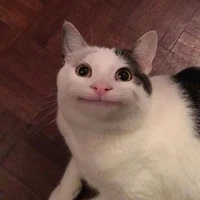 แอด