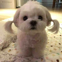 แอดข้าวหอม^^