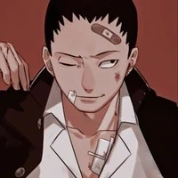 shikamaru nara ( A. D )