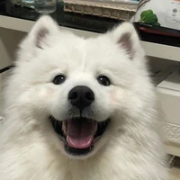 เบบี๋