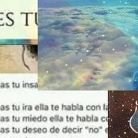 [Autor○]