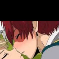 shoto TODOROKI