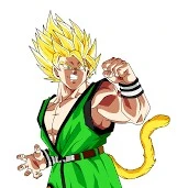 goku(ssj2)