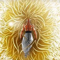 goku(ssj99999)