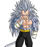 vegeta(ssj5)