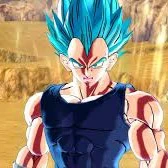 vegeta(ssb)