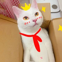 แอดเอง