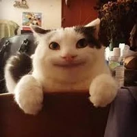 แอด