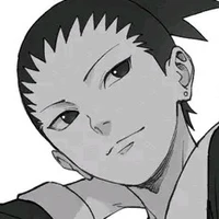 Shikamaru Nara Delta 12 años