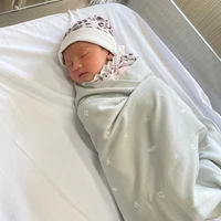 ว่าน(ลูกน.อลูกพ.อ)