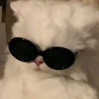 เเอดเอง