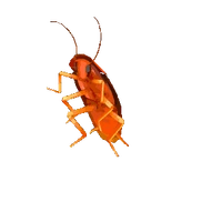 ใครก็ได้