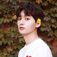 Nie Huaisang(wei best friend)