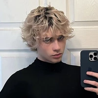 Dionisio lamber (17)